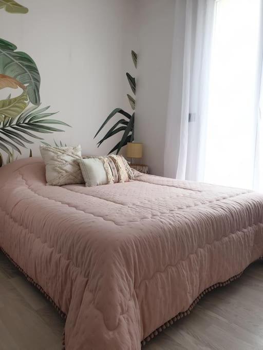 Anglet Biarritz Appartement Avec Piscine 외부 사진
